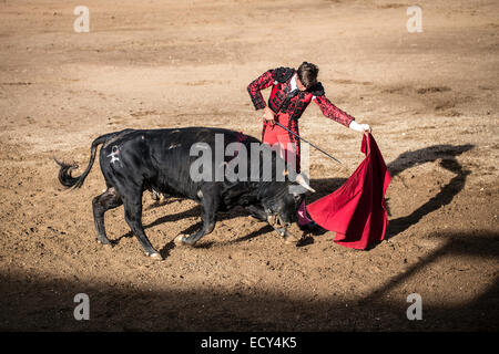 Torero effettuando un "Veronica', la corrida, El Barco de avila, Avila, Spagna Foto Stock