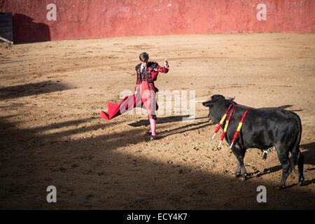 Torero, la corrida, El Barco de avila, Avila, Spagna Foto Stock