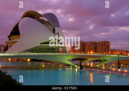 Palazzo delle Arti Reina Sofia, Città delle Arti e delle Scienze, Comunidad Valenciana, Valencia, Spagna, Europa Foto Stock