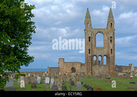 Le Rovine di San regola la chiesa e la Cattedrale St Andrews, Regione Fife, Scozia, Regno Unito, Europa Foto Stock