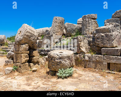 Rovine del tempio di Hera Tempio C e G della moglie di Zeus Hera o Giunone, Selinunte, Marinella, Sicilia, Italia Foto Stock