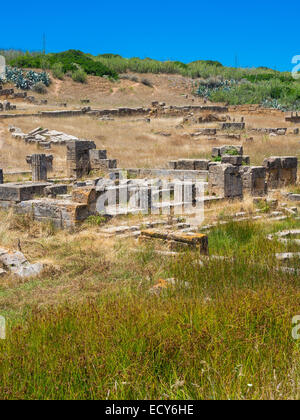 Rovine del capanno del Tempio di Hera, Tempio C e G della moglie di Zeus Hera o Giunone, Selinunte, Marinella, Sicilia, Italia Foto Stock