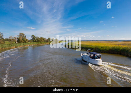 Prerower Strom o Prerowstrom, un braccio del mar Baltico, con motoscafo, Western Pomerania Area Laguna Parco Nazionale Foto Stock