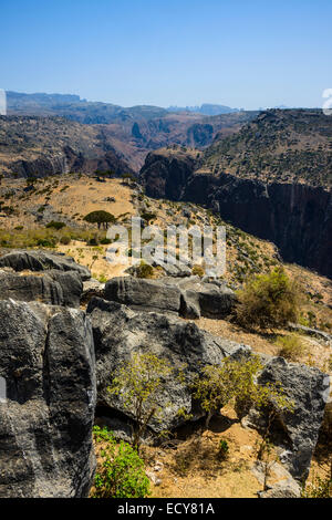 Grande canyon presso l'altopiano di Dixsam, Socotra, Yemen Foto Stock