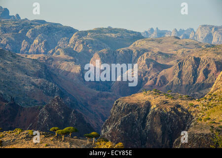 Grande canyon sull'altopiano di Dixsam, Socotra, Yemen Foto Stock