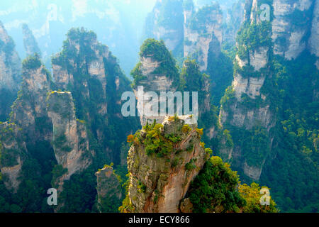 'Avatar' montagne con quarzo verticale di rocce di arenaria, Zhangjiajie National Park, nella provincia del Hunan, Cina Foto Stock