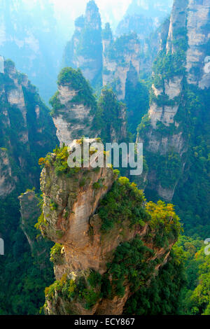 'Avatar' montagne con quarzo verticale di rocce di arenaria, Zhangjiajie National Park, nella provincia del Hunan, Cina Foto Stock