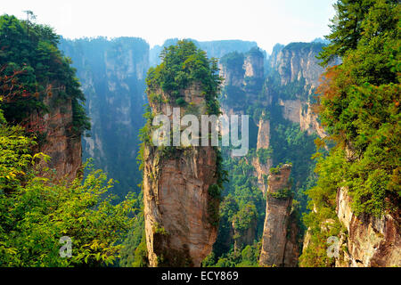 'Avatar' montagne con quarzo verticale di rocce di arenaria, Zhangjiajie National Park, nella provincia del Hunan, Cina Foto Stock