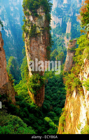 'Avatar' montagne con quarzo verticale di rocce di arenaria, Zhangjiajie National Park, nella provincia del Hunan, Cina Foto Stock