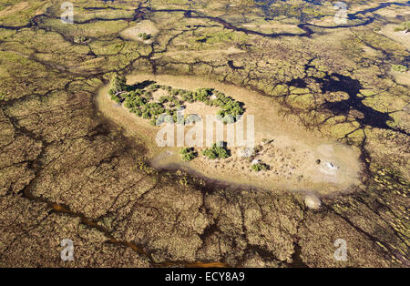 Tipico paesaggio di paludi d'acqua dolce con flussi, i canali e le isole, vista aerea, Okavango Delta, Botswana Foto Stock