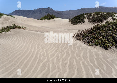 Dune di sabbia sulla spiaggia di Famara, Playa de Famara, nel retro Risco de Famara, Lanzarote, Isole Canarie, Spagna Foto Stock