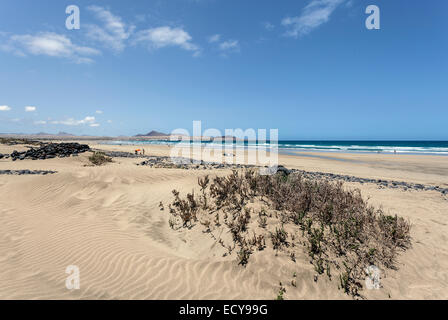 Spiaggia di Famara, Playa de Famara, Lanzarote, Isole Canarie, Spagna Foto Stock