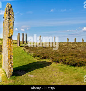 La parte di anello di Brodgar Orkney Islands UK Foto Stock