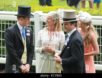 2014 Royal Ascot - Royal arrivi - Giorno 3 - Signori giorno/Gold Cup giorno dotata di: il principe Harry dove: Ascot, Regno Unito quando: 19 Jun 2014 Foto Stock