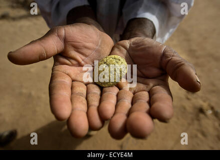 Gold Miner in Delgo oro mercato, Sudan Foto Stock