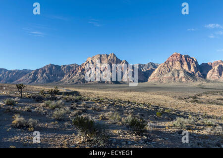 Famose scogliere di Red Rock National Conservation area solo 20 miglia dalla Strip di Las Vegas in Nevada il Mojave Desert. Foto Stock