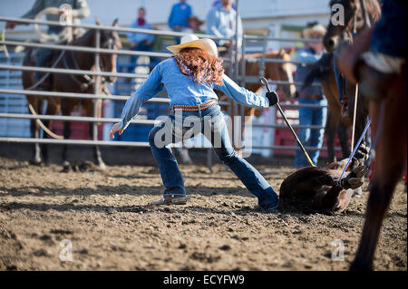 Caucasian cowgirl cavallo di legatura in rodeo sul ranch Foto Stock