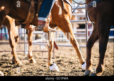 Caucasian cowgirl equitazione sul ranch Foto Stock