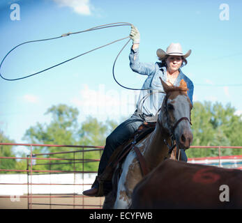Caucasian cowgirl sul cavallo gettando lazo sul ranch Foto Stock