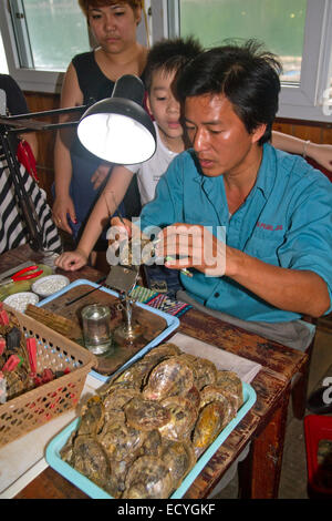 Lavoratore a una Pearl Farm mettendo la sabbia in un guscio di ostrica di crescere un colto perla, la baia di Ha Long, Vietnam. Foto Stock