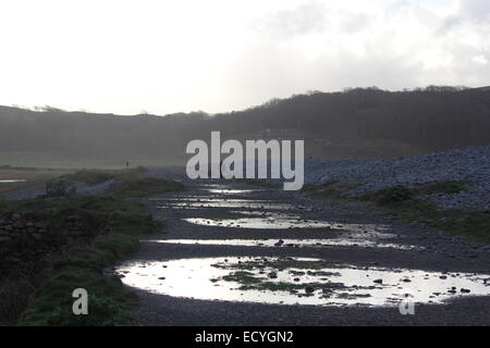 Aberystwyth Wales, cane camminatori potrete godervi una passeggiata su un tipico inverni gallese giorno. Foto Stock