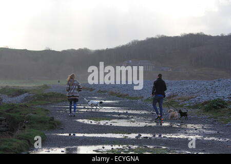 Aberystwyth Wales, cane camminatori potrete godervi una passeggiata su un tipico inverni gallese giorno. Foto Stock