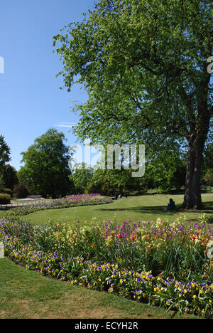 Hyde Park, London REGNO UNITO Foto Stock