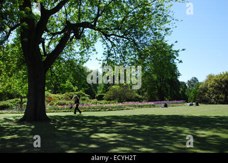 Hyde Park, London REGNO UNITO Foto Stock