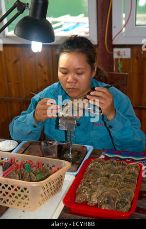 Lavoratore a una Pearl Farm mettendo la sabbia in un guscio di ostrica di crescere un colto perla, la baia di Ha Long, Vietnam. Foto Stock