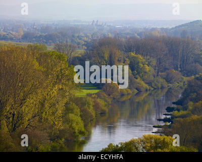 Vista sulla valle principale verso Sommerach e Muensterschwarzach, Franconia, Baviera, Germania Foto Stock