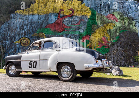 Su una scogliera ai piedi del 617m-high Sierra de Vinales, Cuba, il Mural de la Prehistoria è un 120m-lungo la verniciatura sul lato Foto Stock