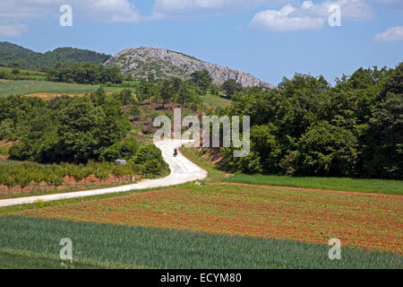 Touring ciclista ciclismo avvolgimento sulla strada sterrata lungo i campi nelle zone rurali Turchia occidentale Foto Stock