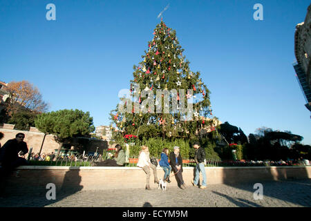 Roma Italia. 22 dic 2014. Roma Colosseo con stagione decorate albero di Natale. Credito: amer ghazzal/Alamy Live News Foto Stock