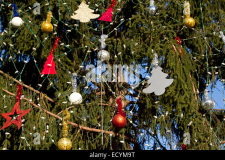 Roma Italia. 22 dic 2014. Roma Colosseo con stagione decorate albero di Natale. Credito: amer ghazzal/Alamy Live News Foto Stock