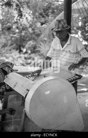 Uomo vietnamita alimentare appena fatte di carta di riso in una macchina da taglio per fare il riso tagliatelle in famiglia della piccola casa fabbrica nel Delta del Mekong del Vietnam. Foto Stock