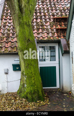 Nel centro del paese, in inverno, isola del Mare del Nord Spiekeroog, Bassa Sassonia, Germania, Europa Foto Stock