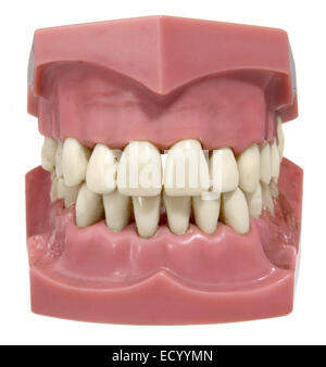 set di denti finti Foto Stock
