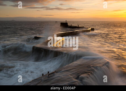 St Monans parete del mare,Fife, Scozia UK Foto Stock