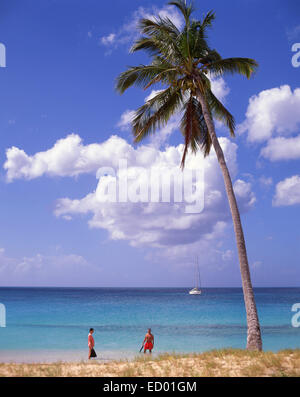 Spiaggia di legno scuro, Saint Mary's Parish, Antigua Antigua e Barbuda, Piccole Antille, dei Caraibi Foto Stock