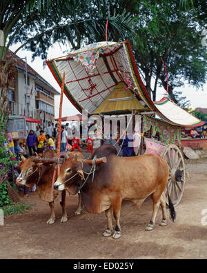 Tradizionale carrello di giovenco e centrale quartiere di Malacca, Malacca (Melaka) Città, Stato di Malacca, Malaysia Foto Stock