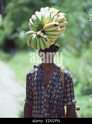 Uomo locale che porta un grappolo di banane sul suo capo, Saint Lucia, Piccole Antille, dei Caraibi Foto Stock