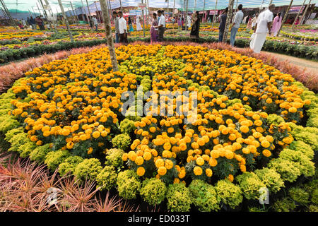 Il Kerala, India - Thekkady spring festival dei fiori, con luna park e bancarelle, celebrazione e grave concorrenza di giardinaggio. Foto Stock