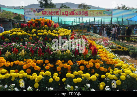 Il Kerala, India - Thekkady spring festival dei fiori, con luna park e bancarelle, celebrazione e grave concorrenza di giardinaggio. Foto Stock