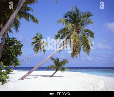 Tropical Beach, Kuda Bandos Island, Kaafu Atoll, Repubblica delle Maldive Foto Stock
