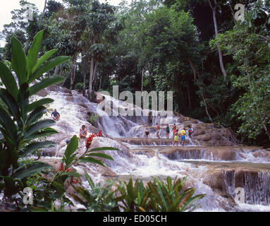 Cascate del Fiume Dunn, Ocho Ríos, Saint Ann Parish, Giamaica, Antille Maggiori, dei Caraibi Foto Stock