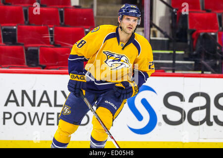 Raleigh, North Carolina, Stati Uniti d'America. 2° dic, 2014. Nashville Predators centro Paul Gaustad (28) durante il gioco NHL tra il Nashville Predators e Carolina Hurricanes al PNC Arena. Carolina Hurricanes sconfitto il Nashville Predators2-1. © Andy Martin Jr./ZUMA filo/Alamy Live News Foto Stock