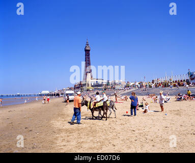 Asino corse su Blackpool Sands, Blackpool, Lancashire, Inghilterra, Regno Unito Foto Stock