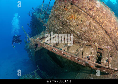 Sommozzatore guardando wreckship Gianis D. Mare Rosso, Sharm El Sheikh, Egitto Foto Stock