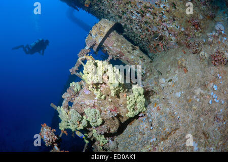 Sommozzatore guardando wreckship Gianis D. Mare Rosso, Sharm El Sheikh, Egitto Foto Stock