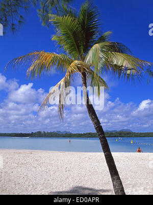 Tropical Beach, Île aux Cerfs Isola, Flacq distretto, Repubblica di Mauritius Foto Stock